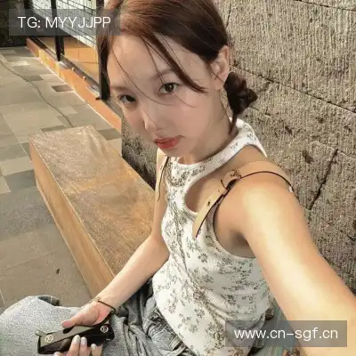 董治鹤